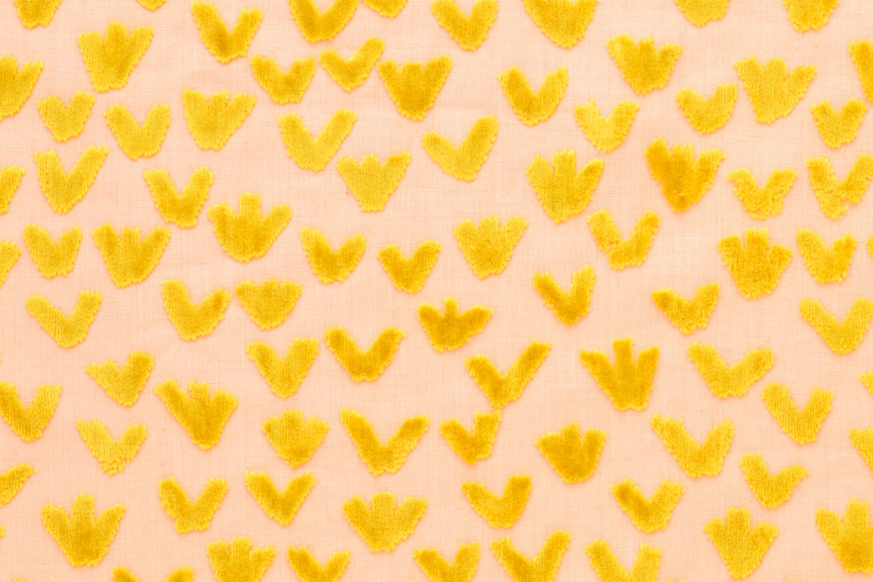 bird garden'' 2016→s/s - minä perhonen