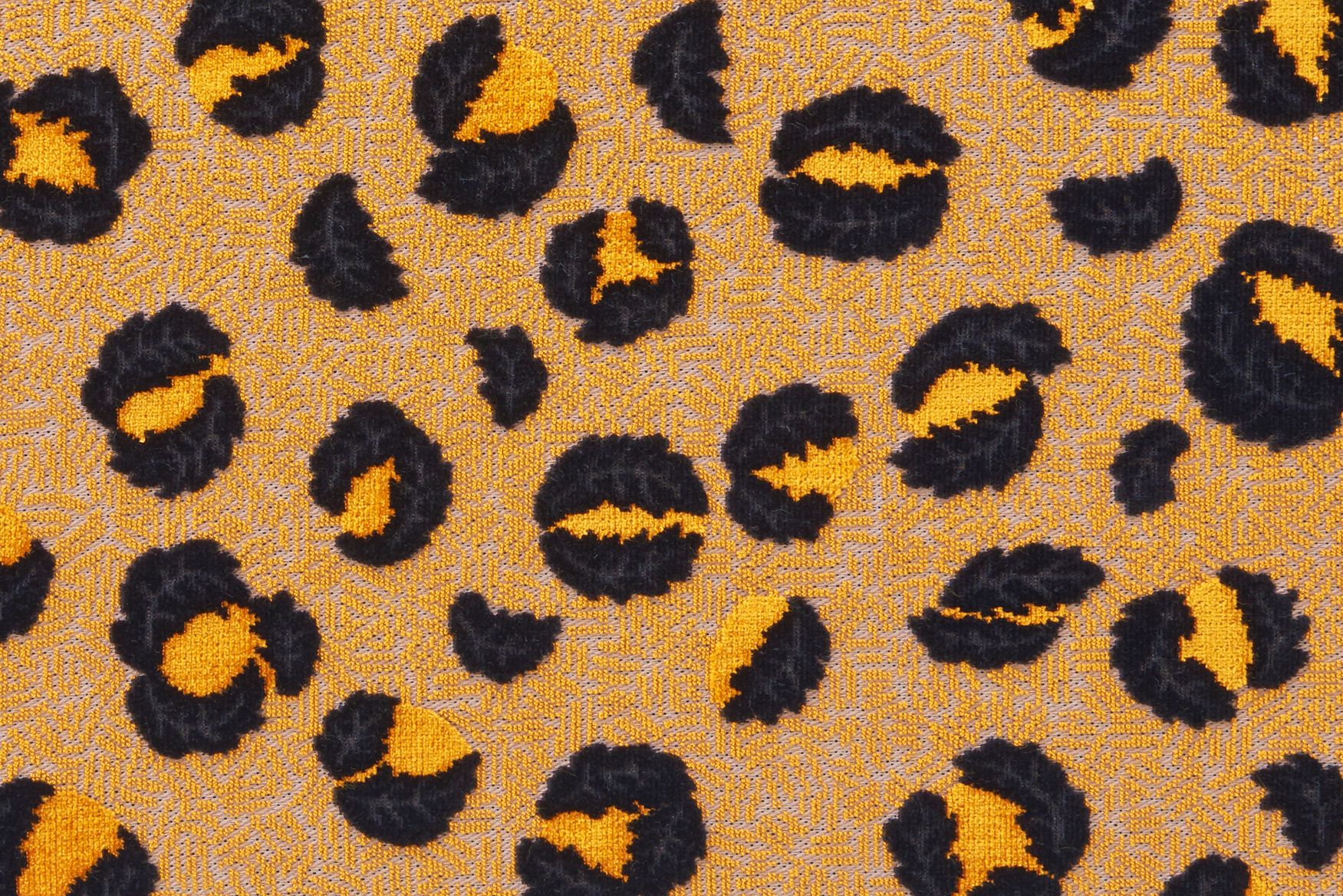 36ent_F_Lvie_SP_7_PW_7vaca_Rp_