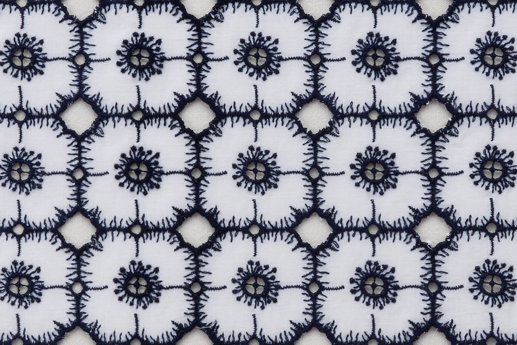 anemone