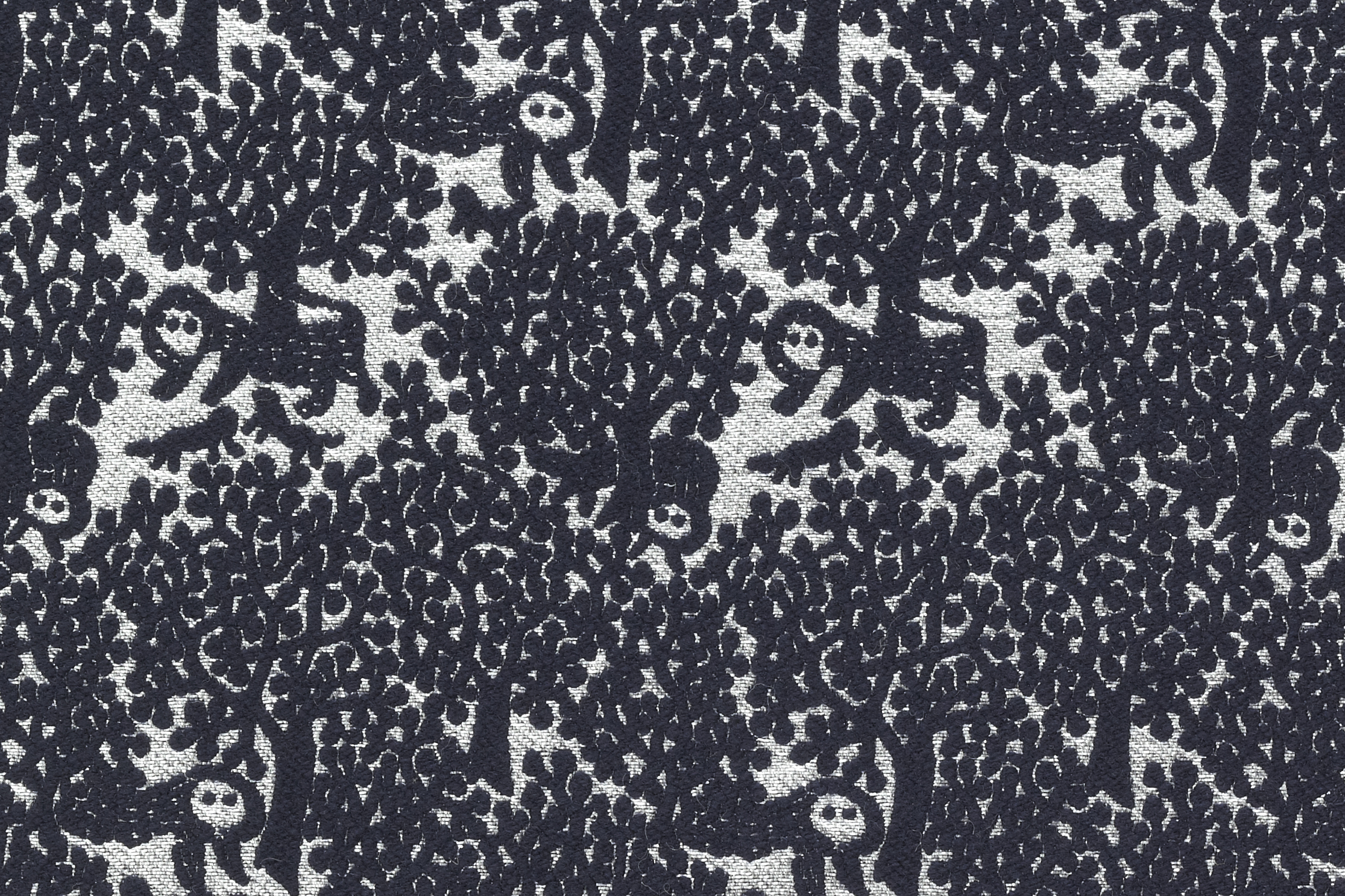 moon bear - minä perhonen