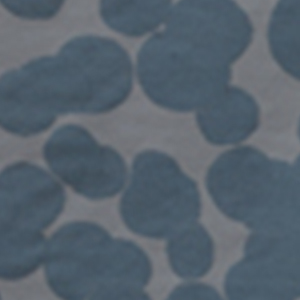 soda water コート - minä perhonen