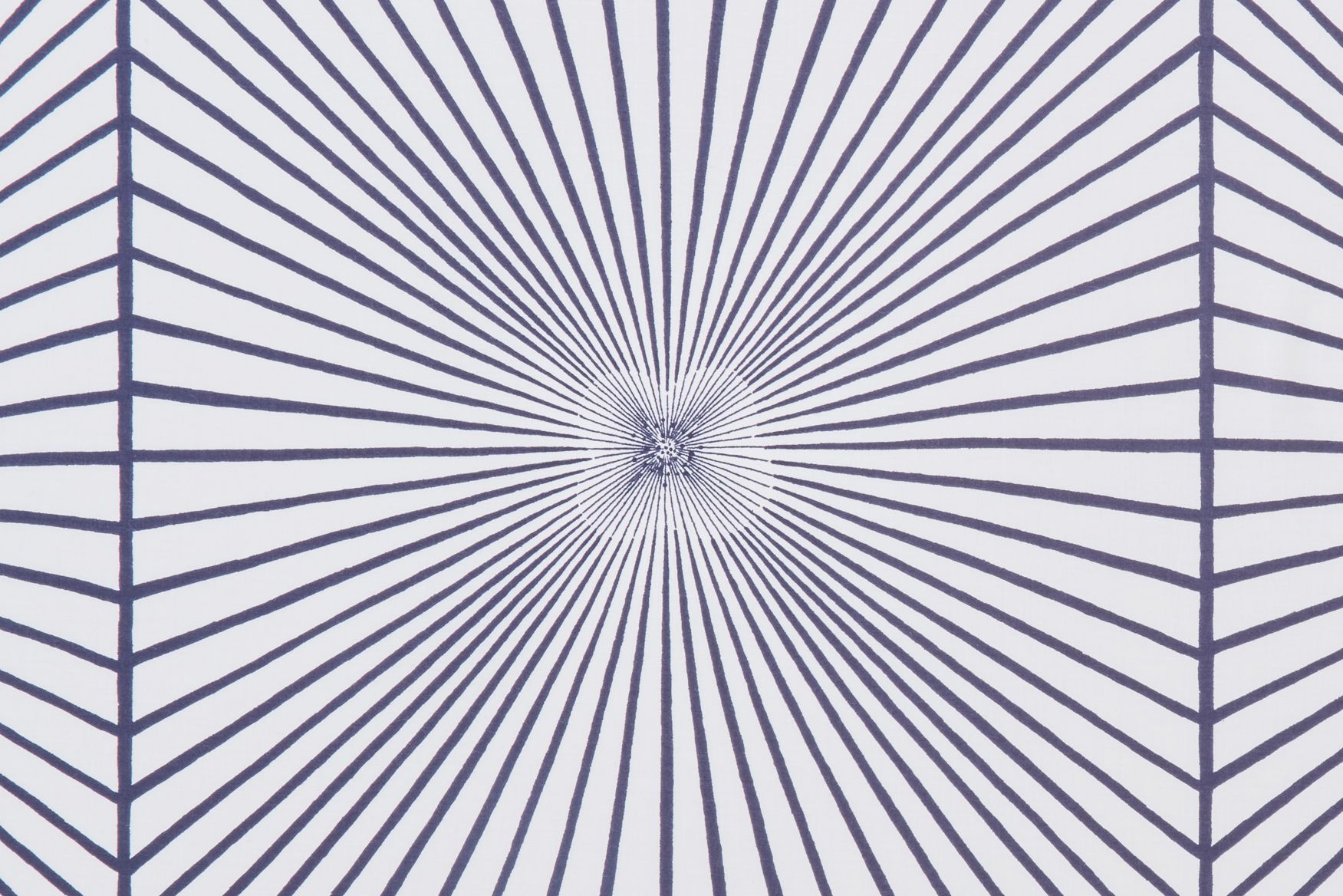 light flower'' 2022→s/s - minä perhonen