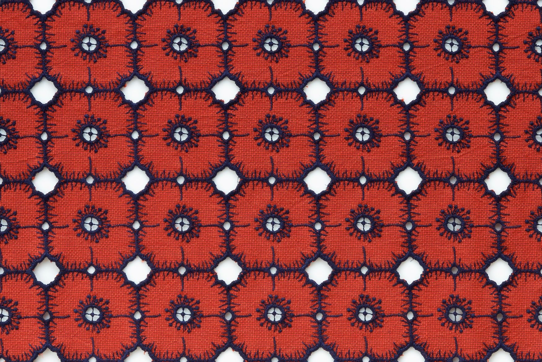 anemone - minä perhonen