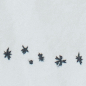 hoshi*hana ラグランギャザードレス - minä perhonen