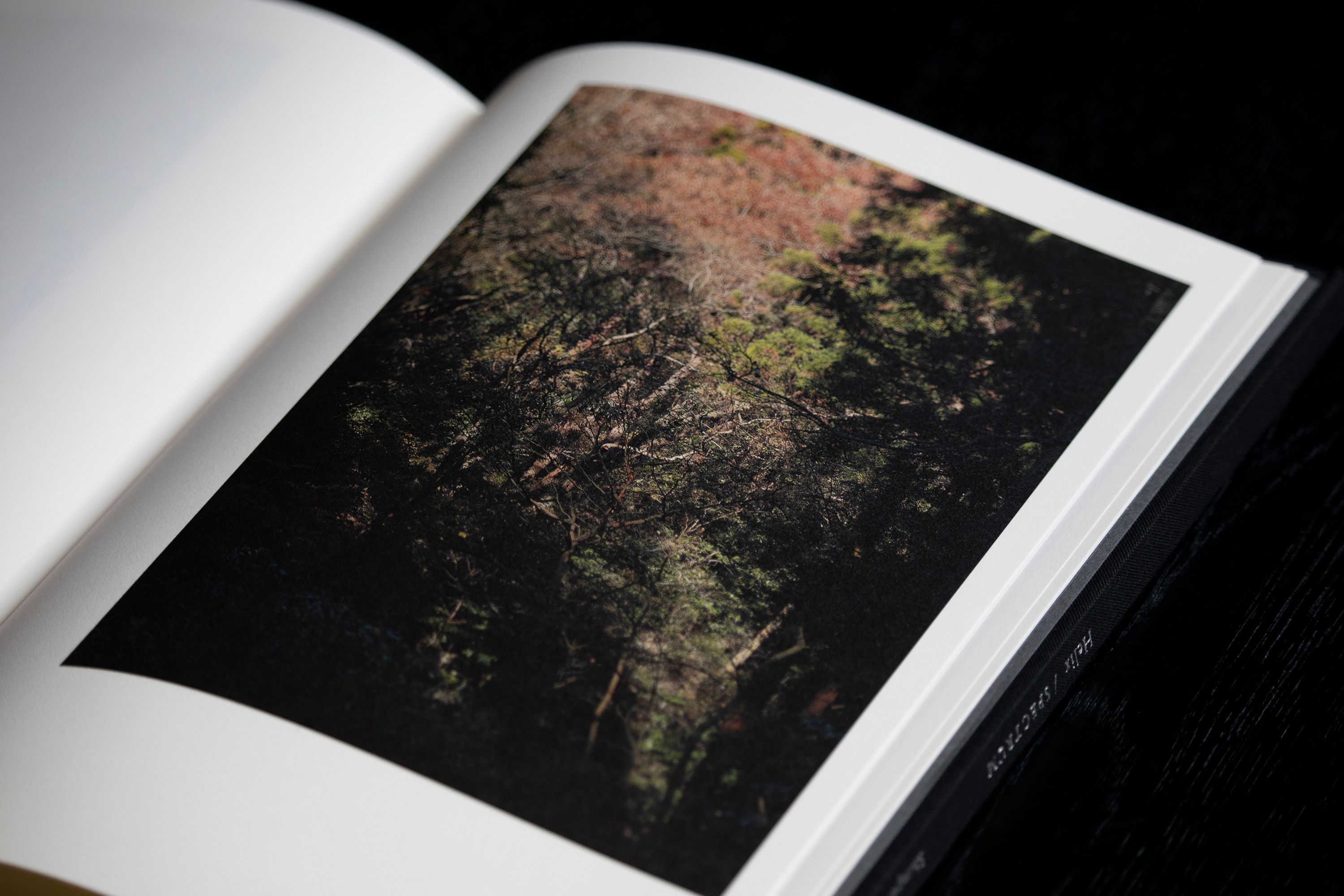 山上新平さん「Helix」写真集発売とgalleriaとelävä での展示