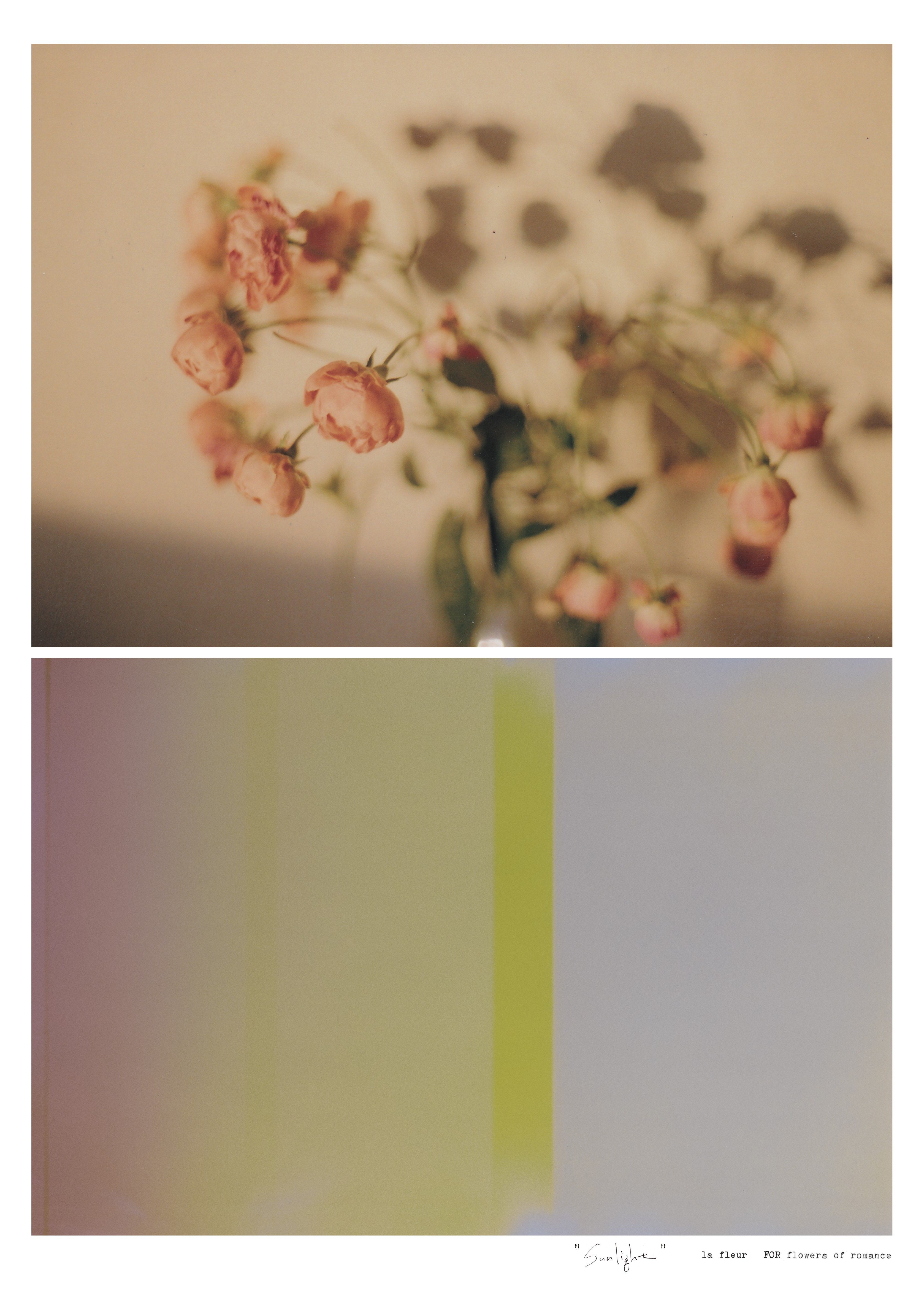 la fleur collection 