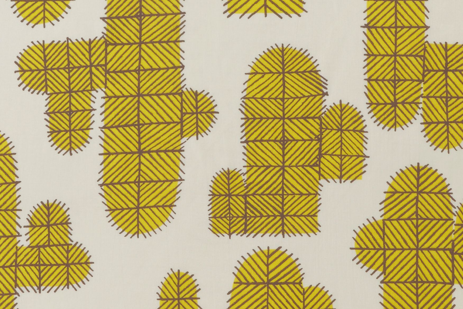 cactus'' 2014→s/s - minä perhonen