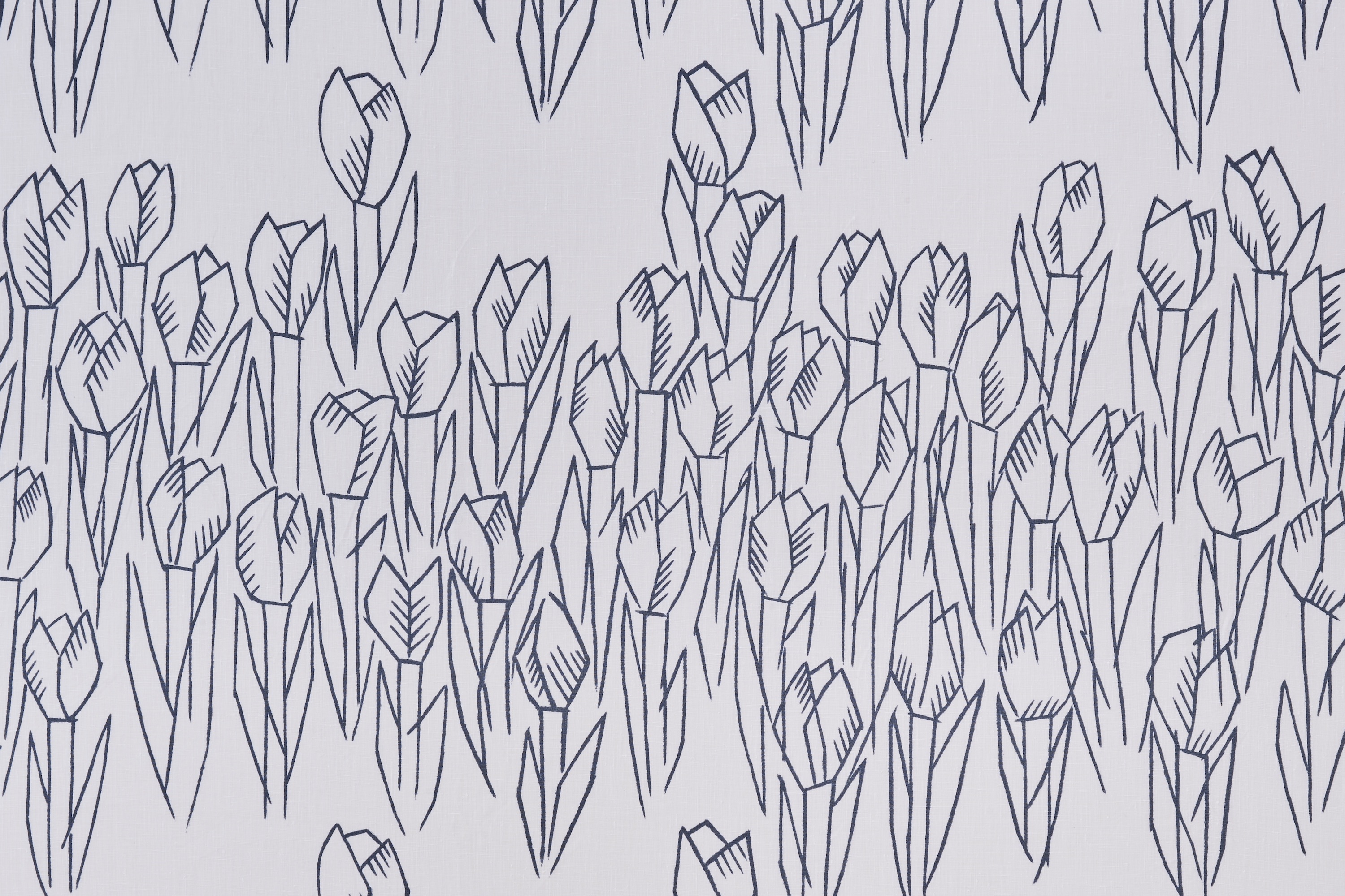 tulipani - minä perhonen