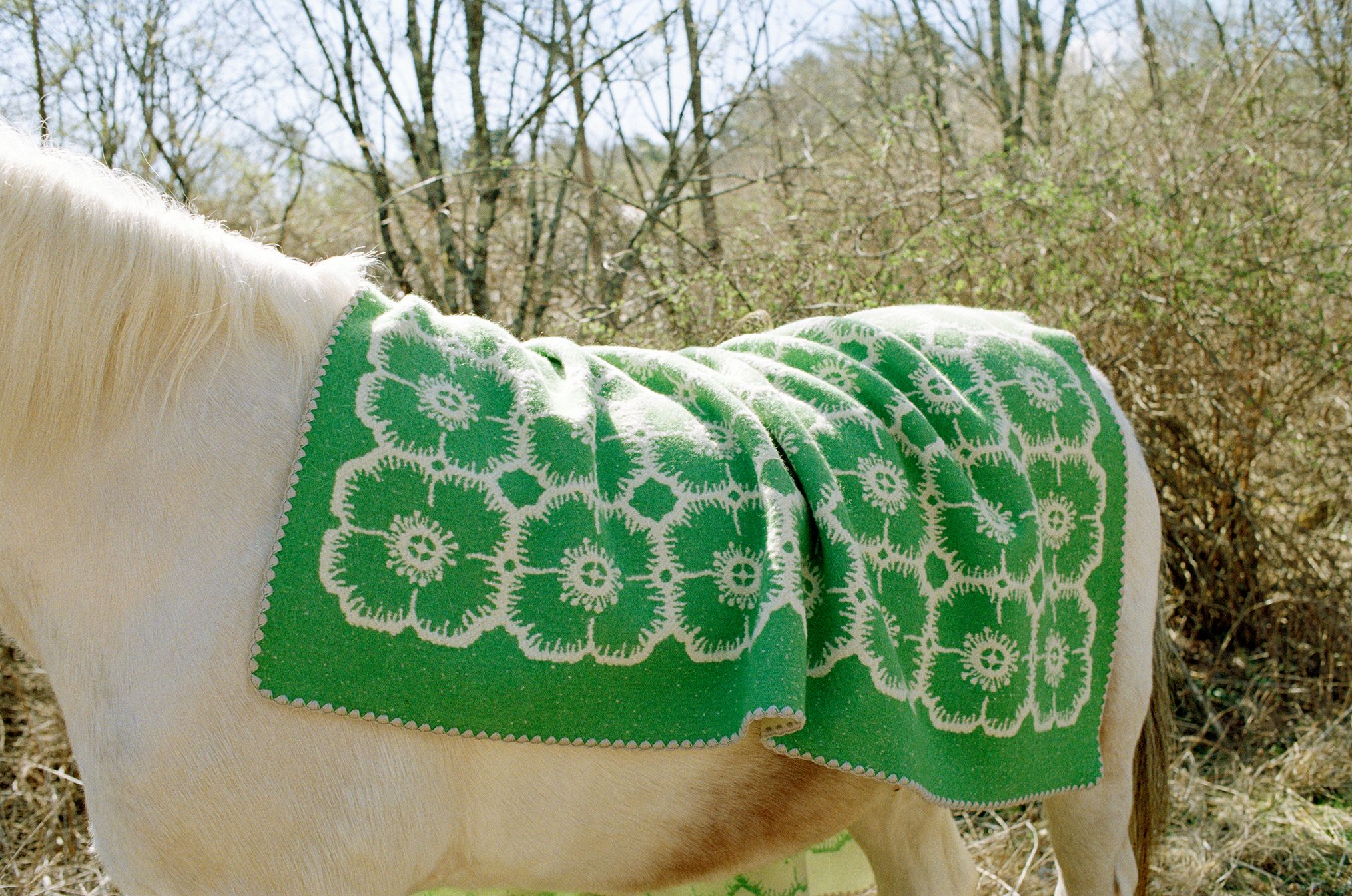 Announcement of 2023-24aw blanket collection. - minä perhonen