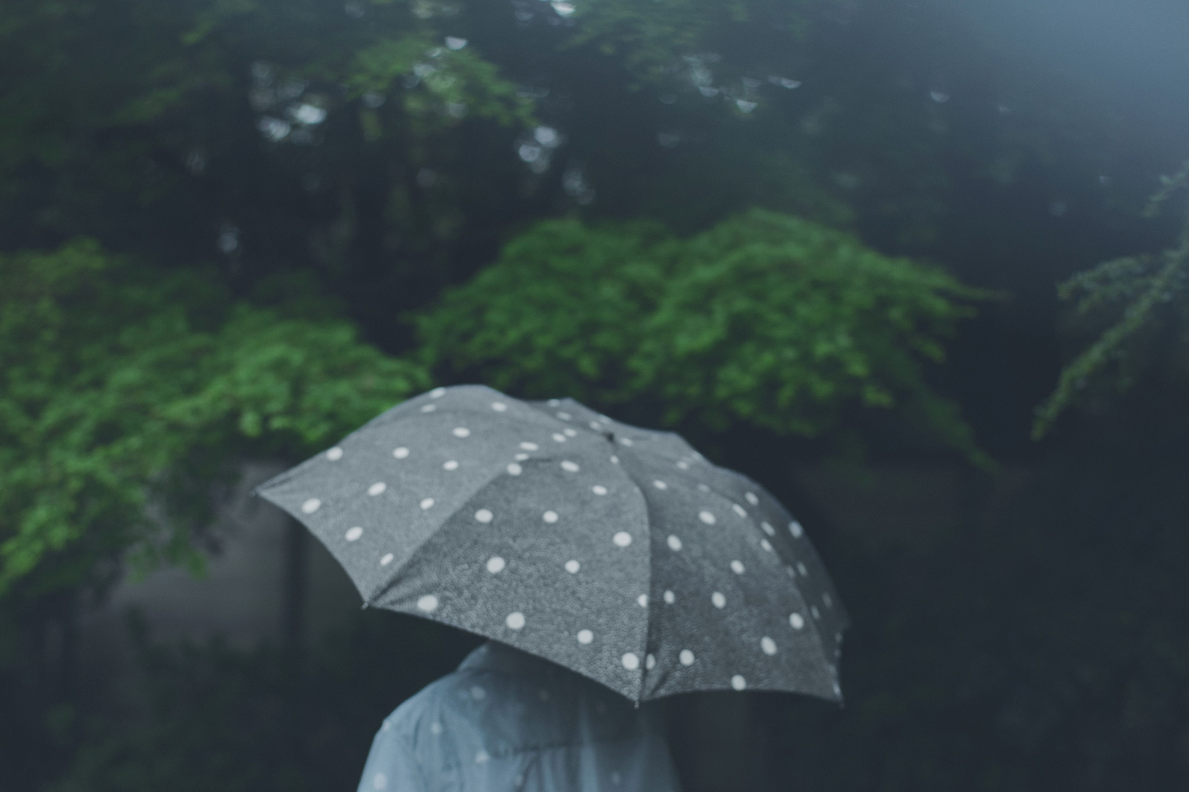 FOX UMBRELLAS - minä perhonen