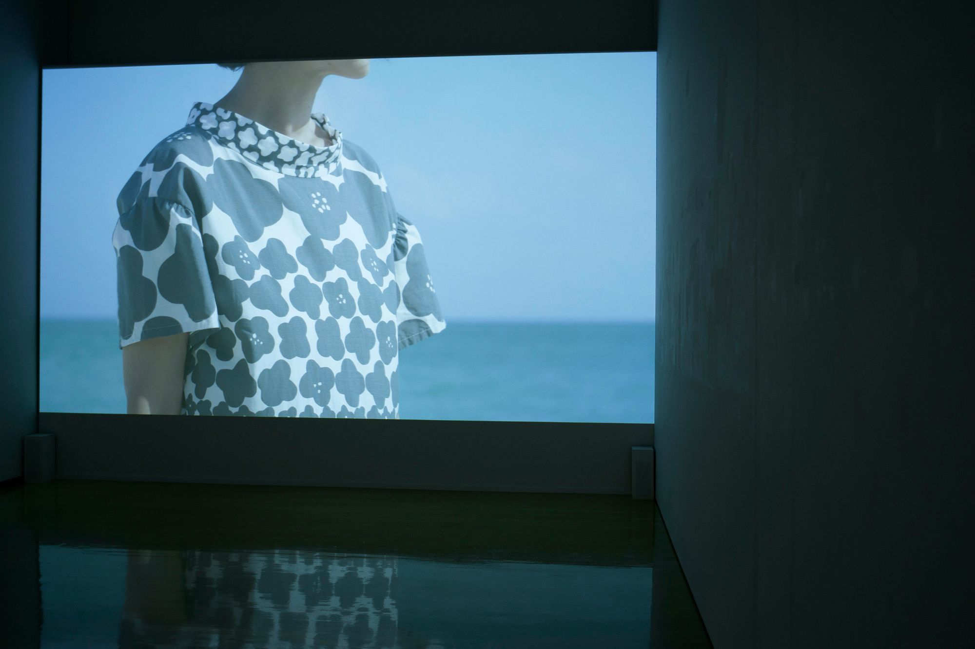 minä perhonen / minagawa akira TSUZUKU exhibition - minä perhonen