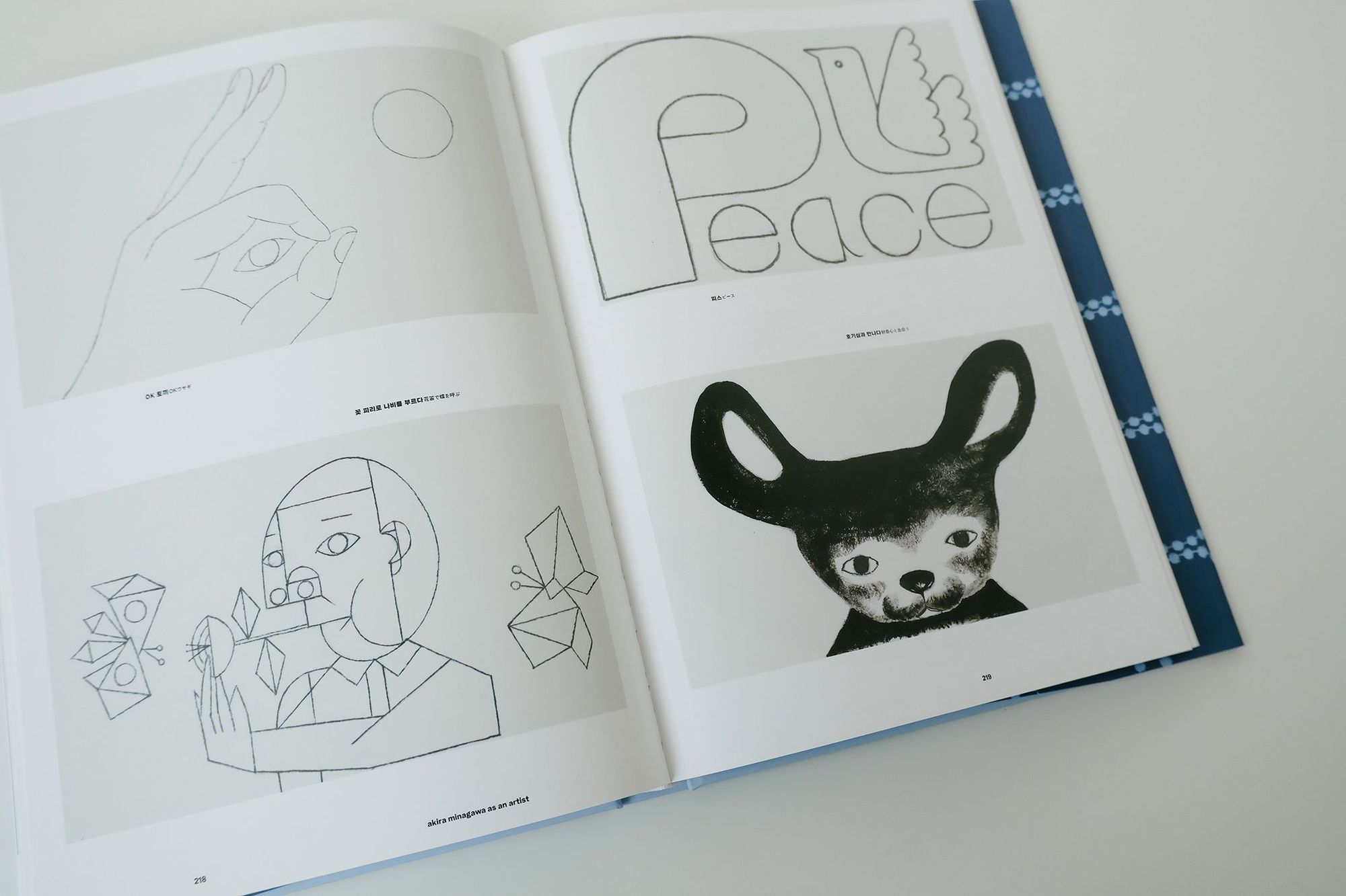 Interview Akira Minagawa × Jisoo Kim - minä perhonen