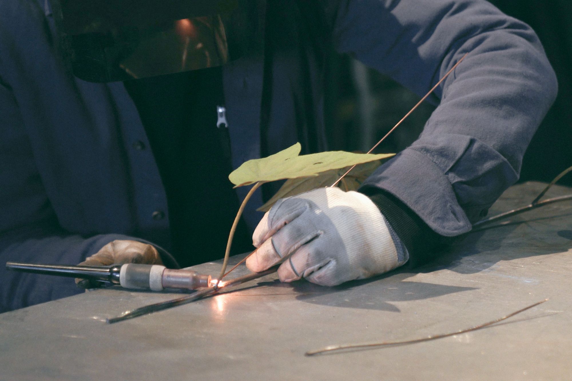 モリソン小林　彫像　植物　現代アート　ミナペルホネン　北欧インテリア　ウェグナー モリソン小林 彫像 植物 現代アート ミナペルホネン 北欧