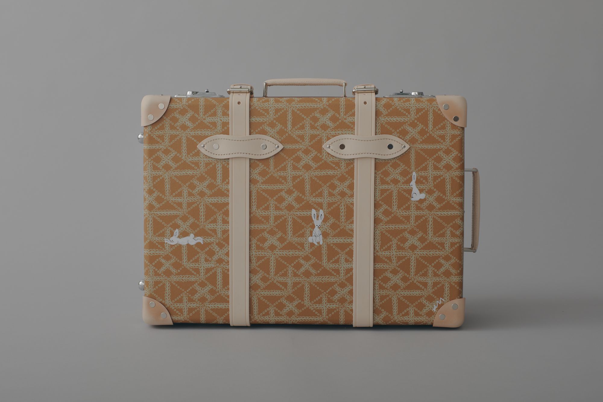 GLOBE TROTTER + paint small carry on - minä perhonen