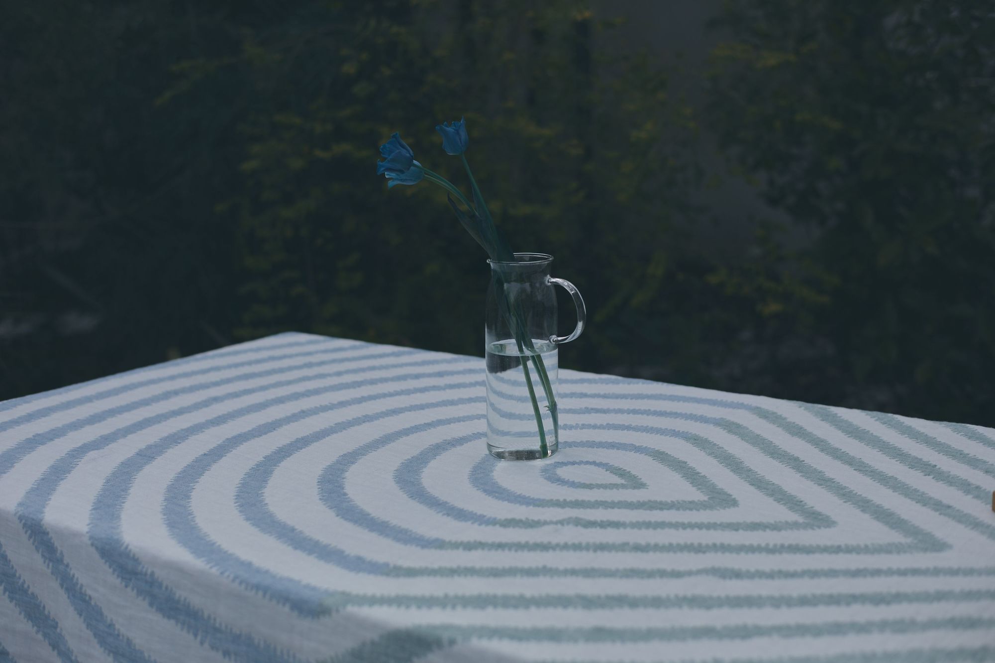 minä BALLOON vol. 015 “hei! kevät!” 3月16日～ - minä perhonen