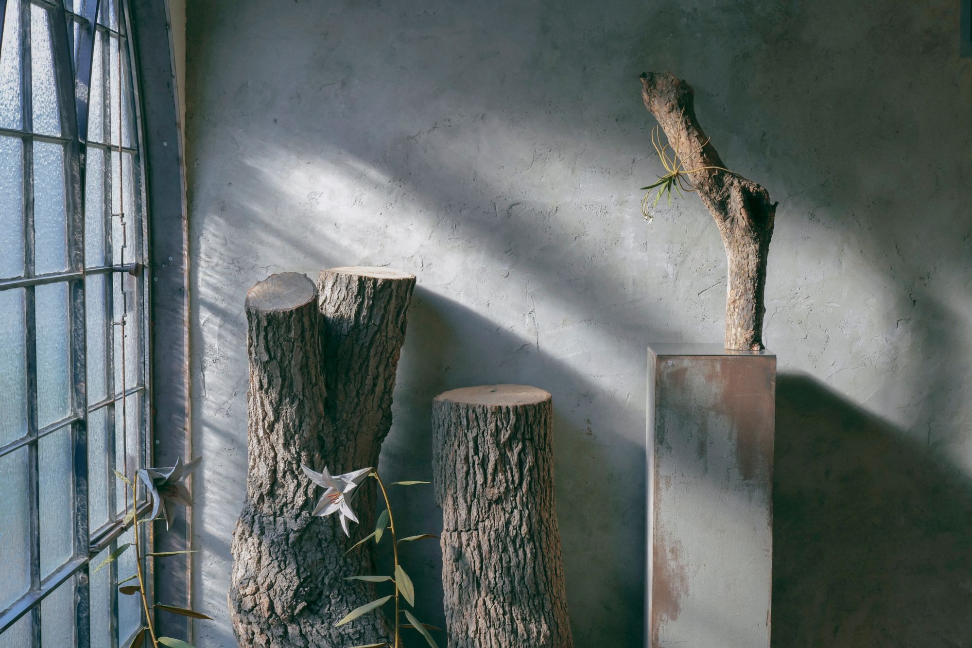 steel artist — Morison Kobayashi - minä perhonen
