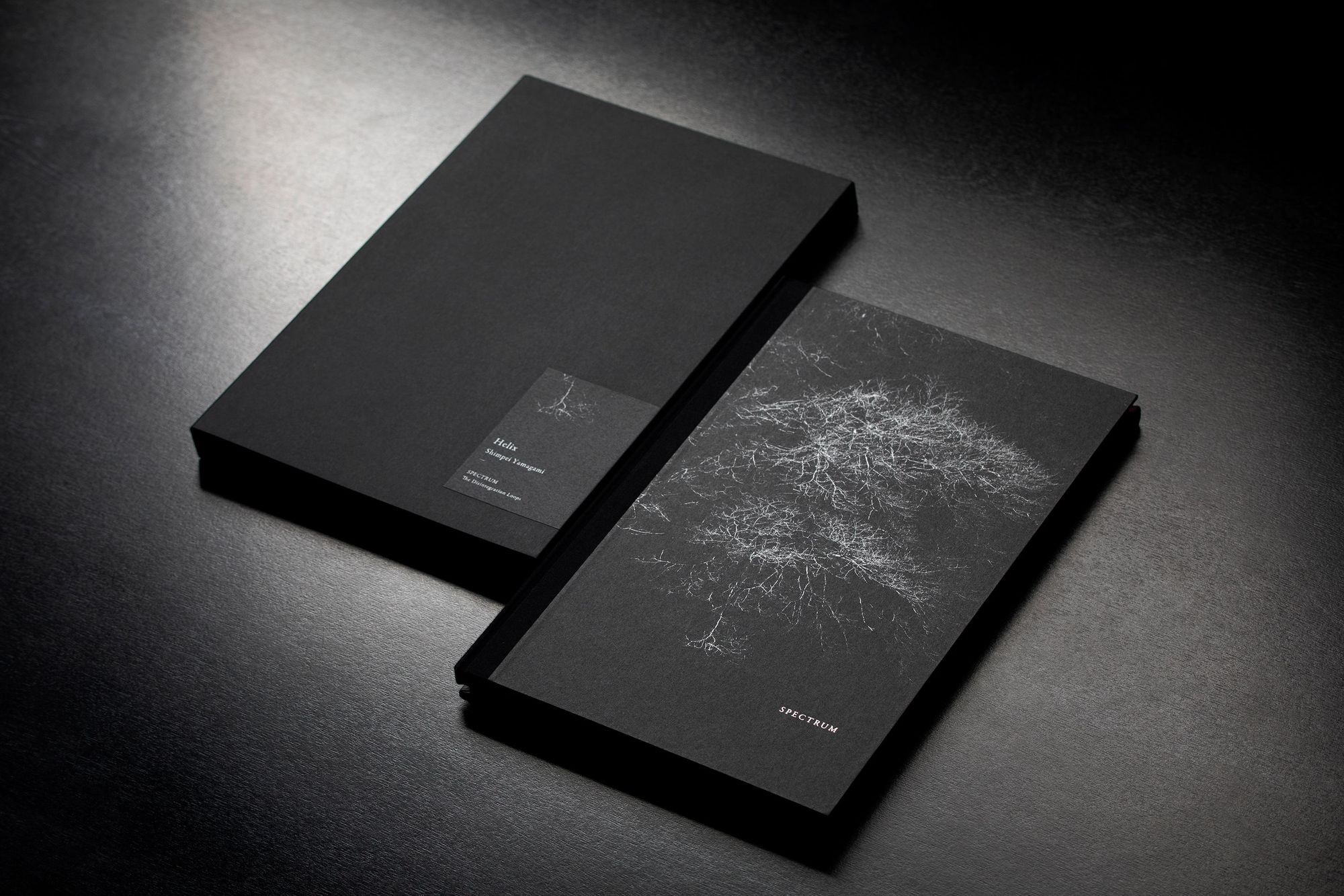 blackpearls　【天使】Josh Wang上海個展作品 Helix by Shimpei Yamagami vol.2 - minä perhonen