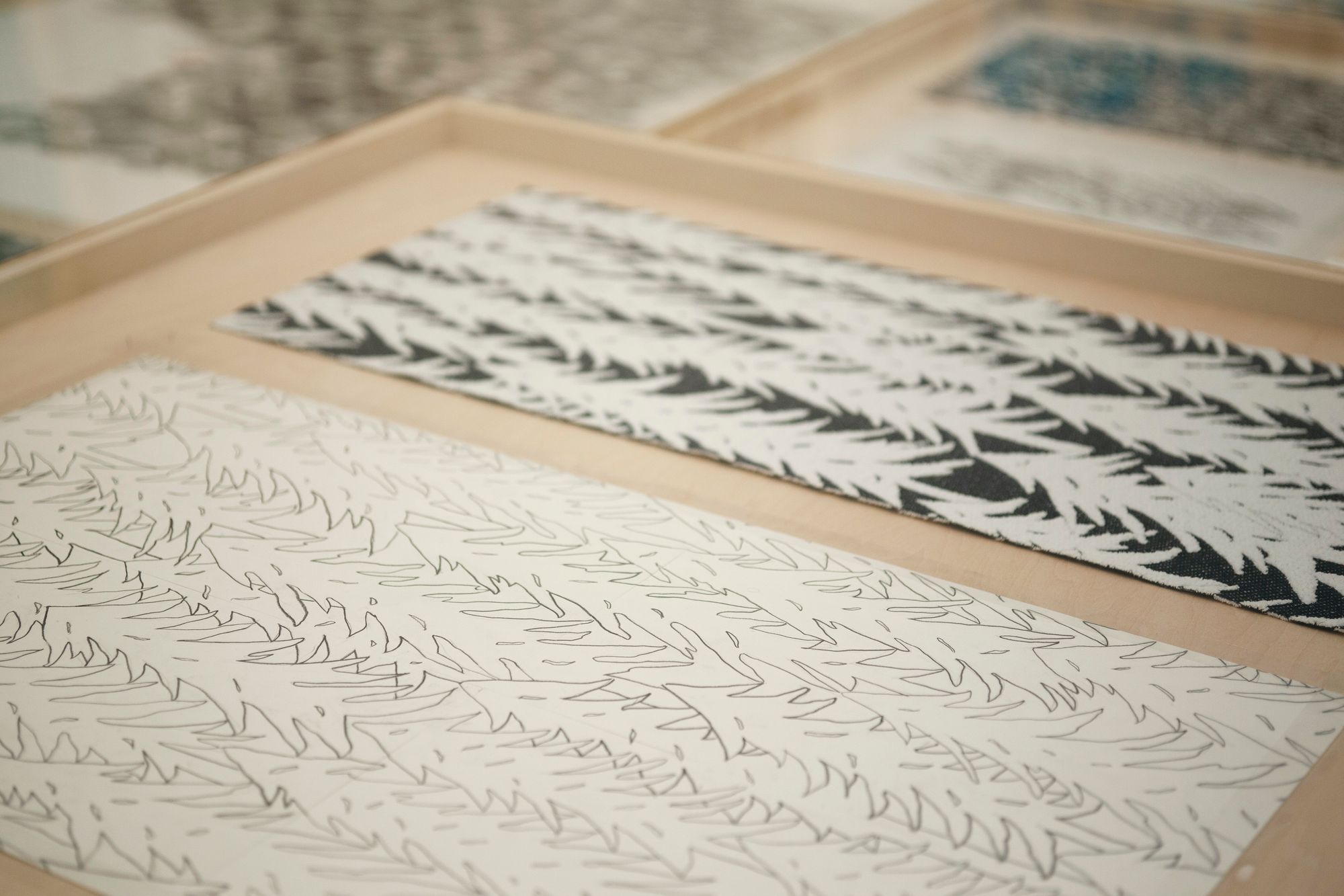 minä perhonen / minagawa akira TSUZUKU exhibition - minä perhonen