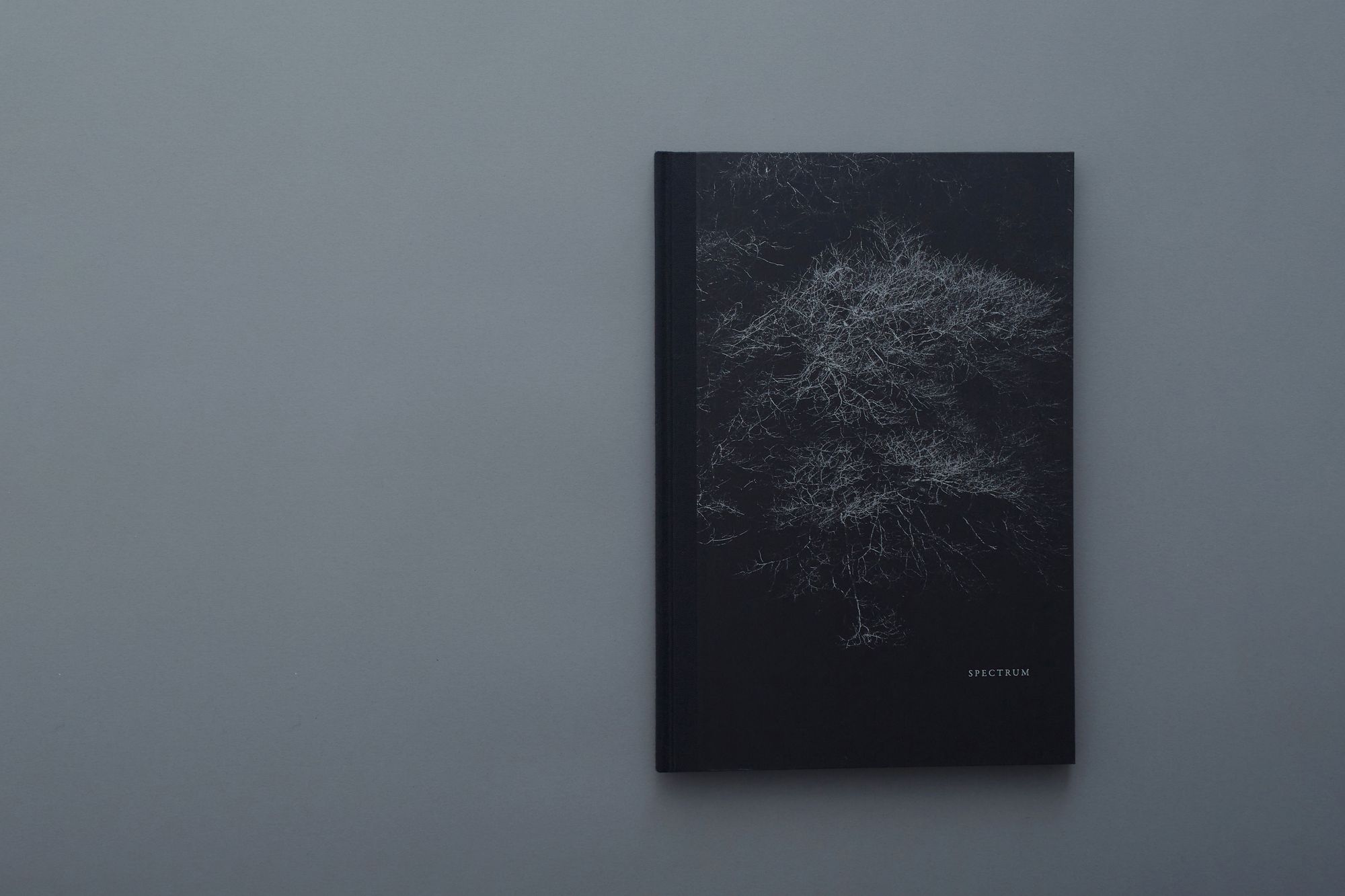 Helix by Shimpei Yamagami vol.1 - minä perhonen