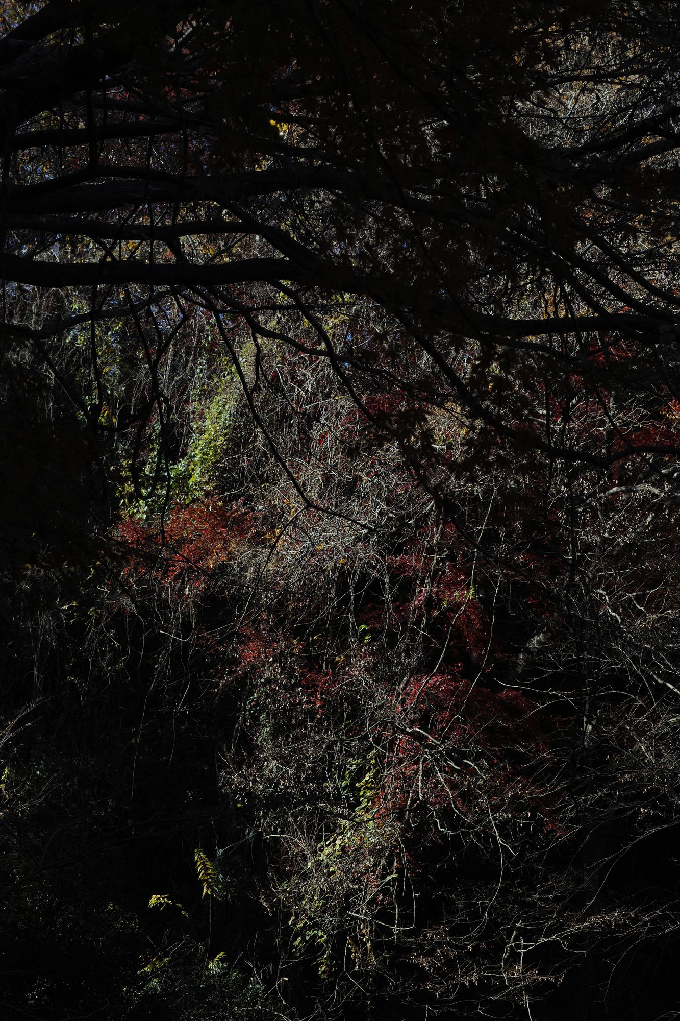 blackpearls　【天使】Josh Wang上海個展作品 本日発売】H.M.S. 幻想模型世界 TRIBUTE to YASUSHI NIRASAWA