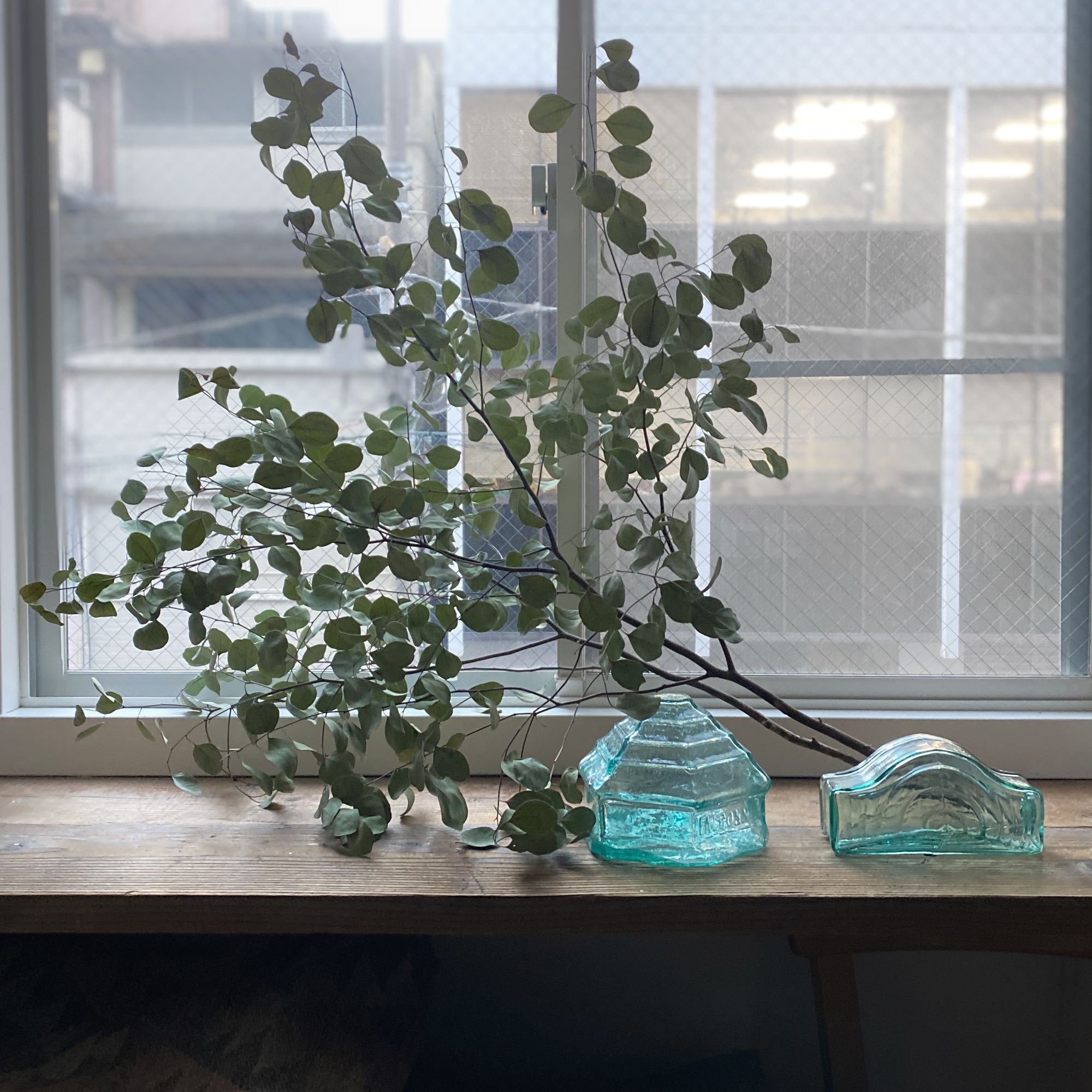 Falconnier's Glass Brick No. 7 - minä perhonen