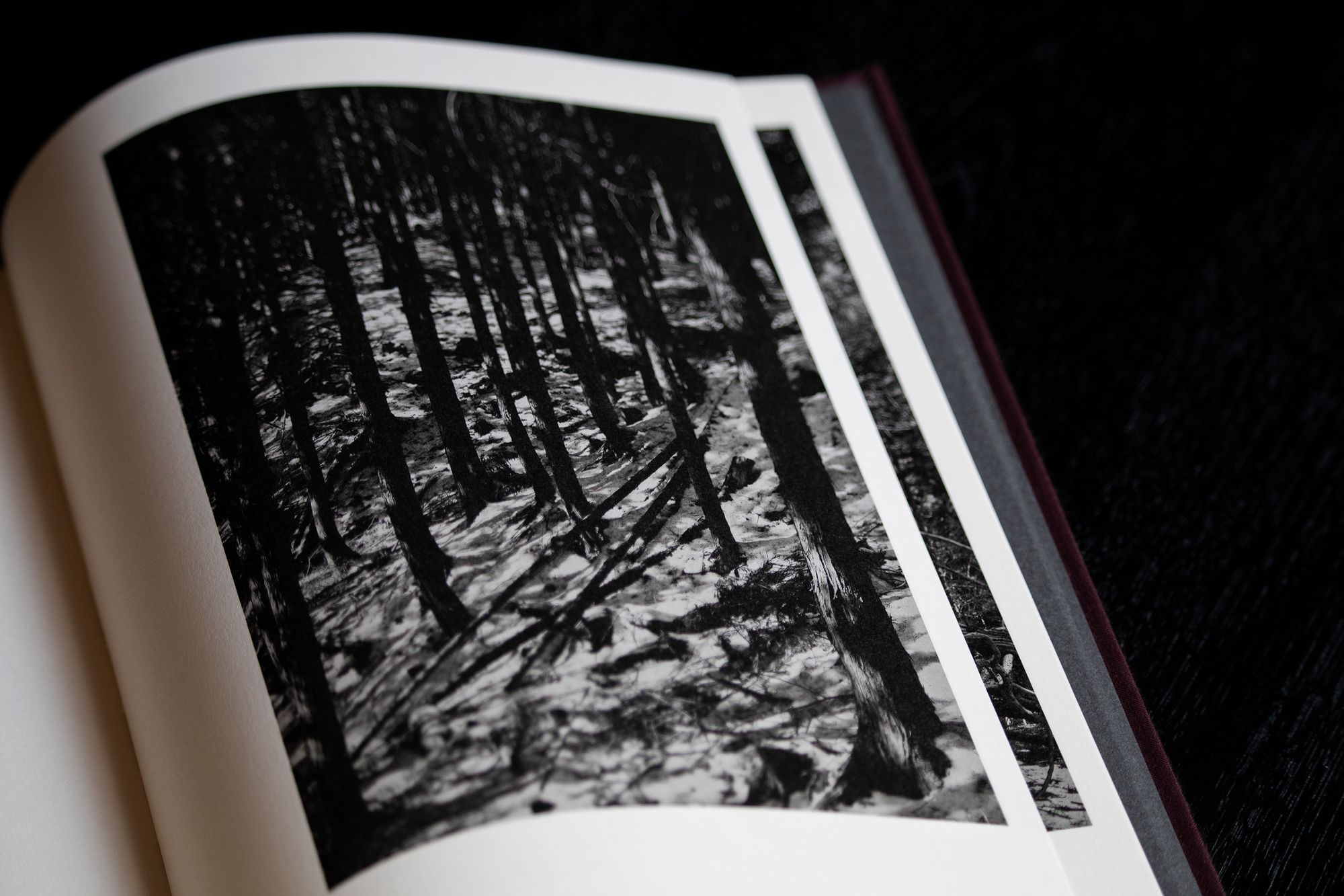 Helix by Shimpei Yamagami vol.2 - minä perhonen