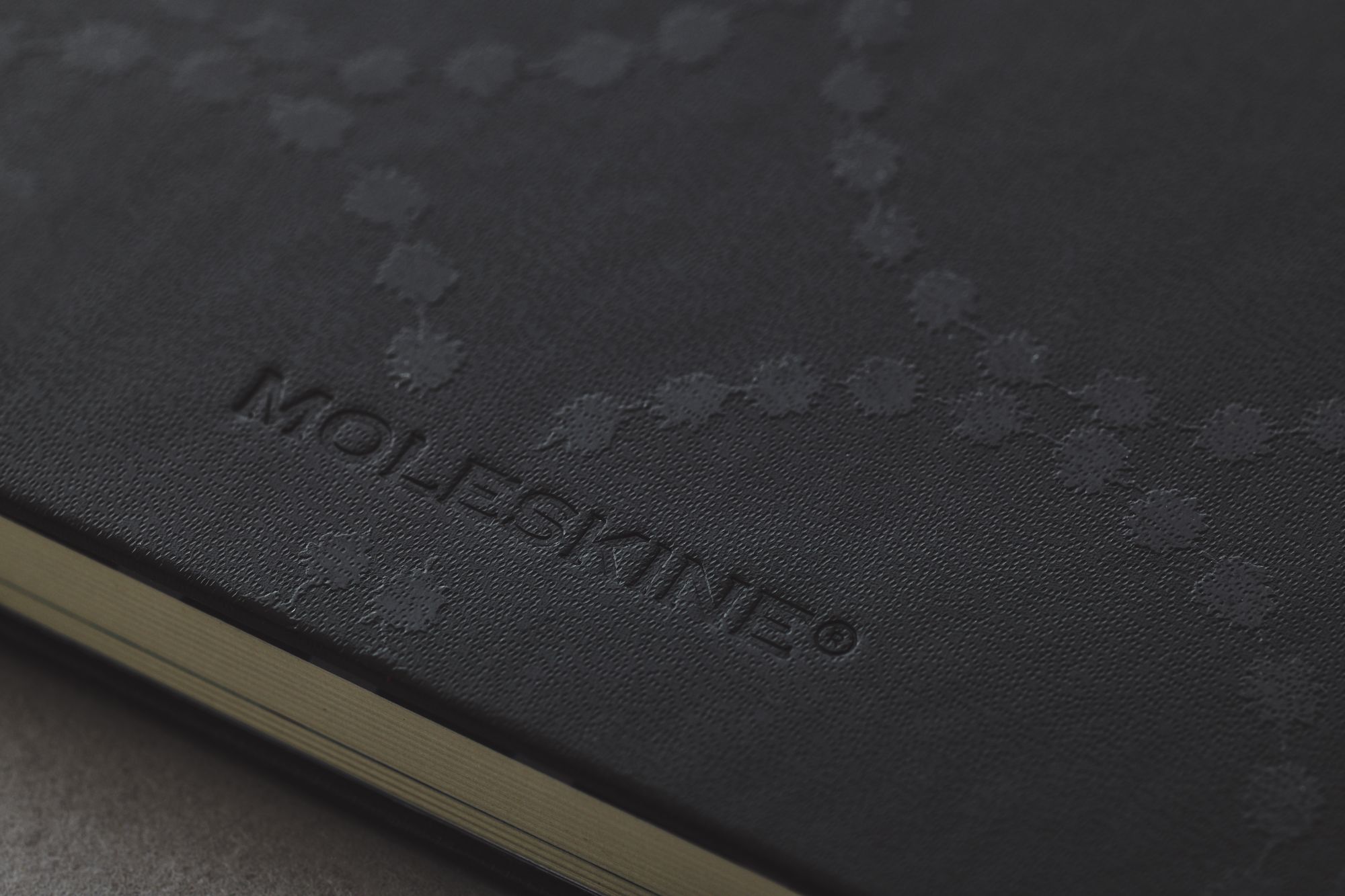 tambourine MOLESKINEノート - minä perhonen