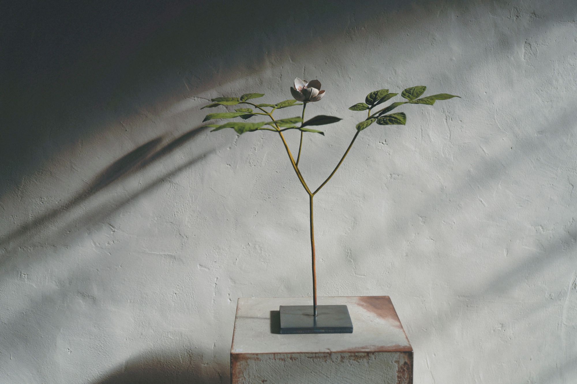 steel artist — Morison Kobayashi - minä perhonen