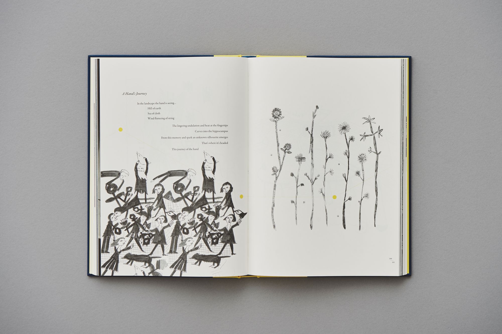 ミナペルホネン　ripples 日本語対訳版付き　アートブック　写真集 ripples 和訳冊子付き - minä perhonen