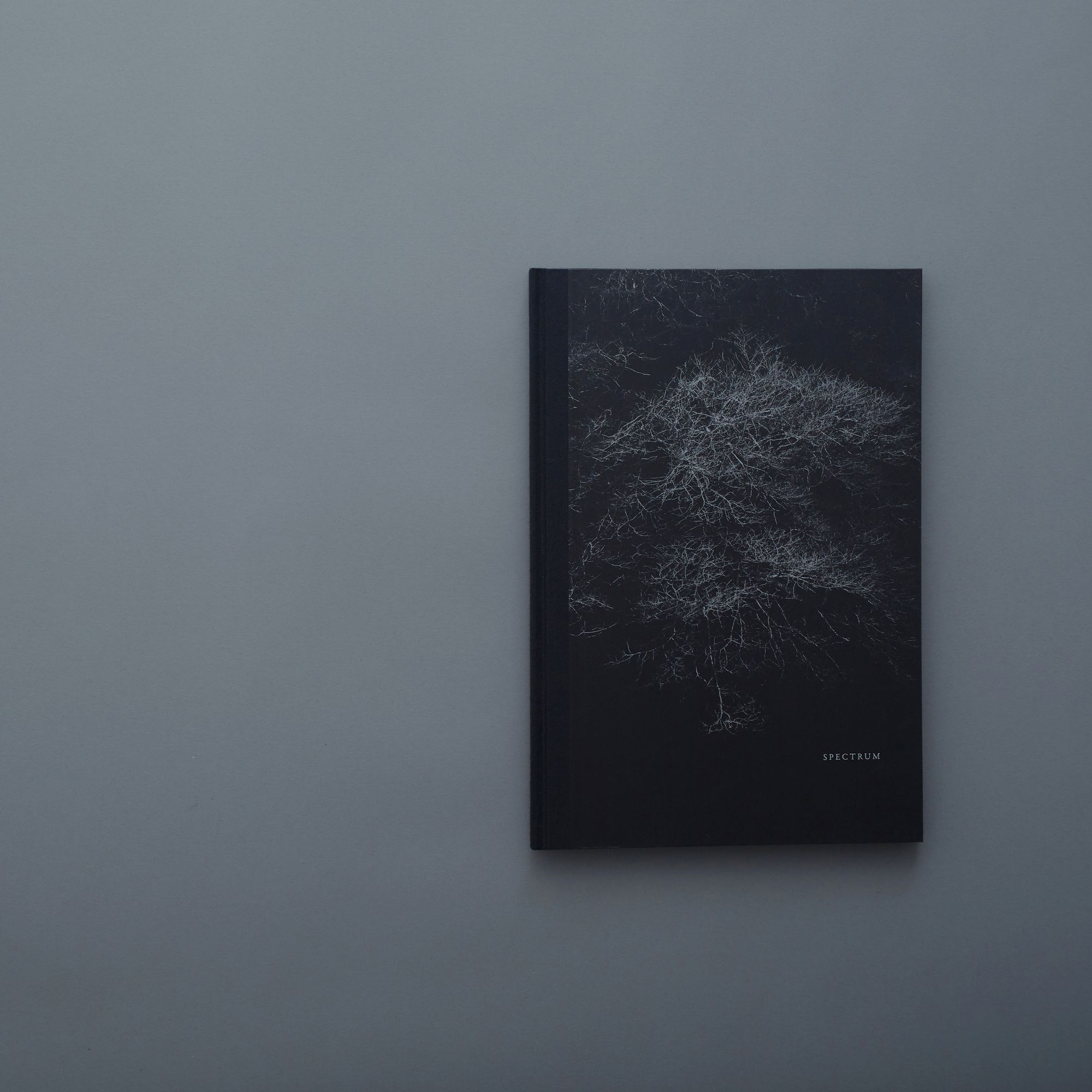 未開封　山上新平　Helix サイン入り　ミナペルホネン　皆川明 Helix Shimpei Yamagami - minä perhonen