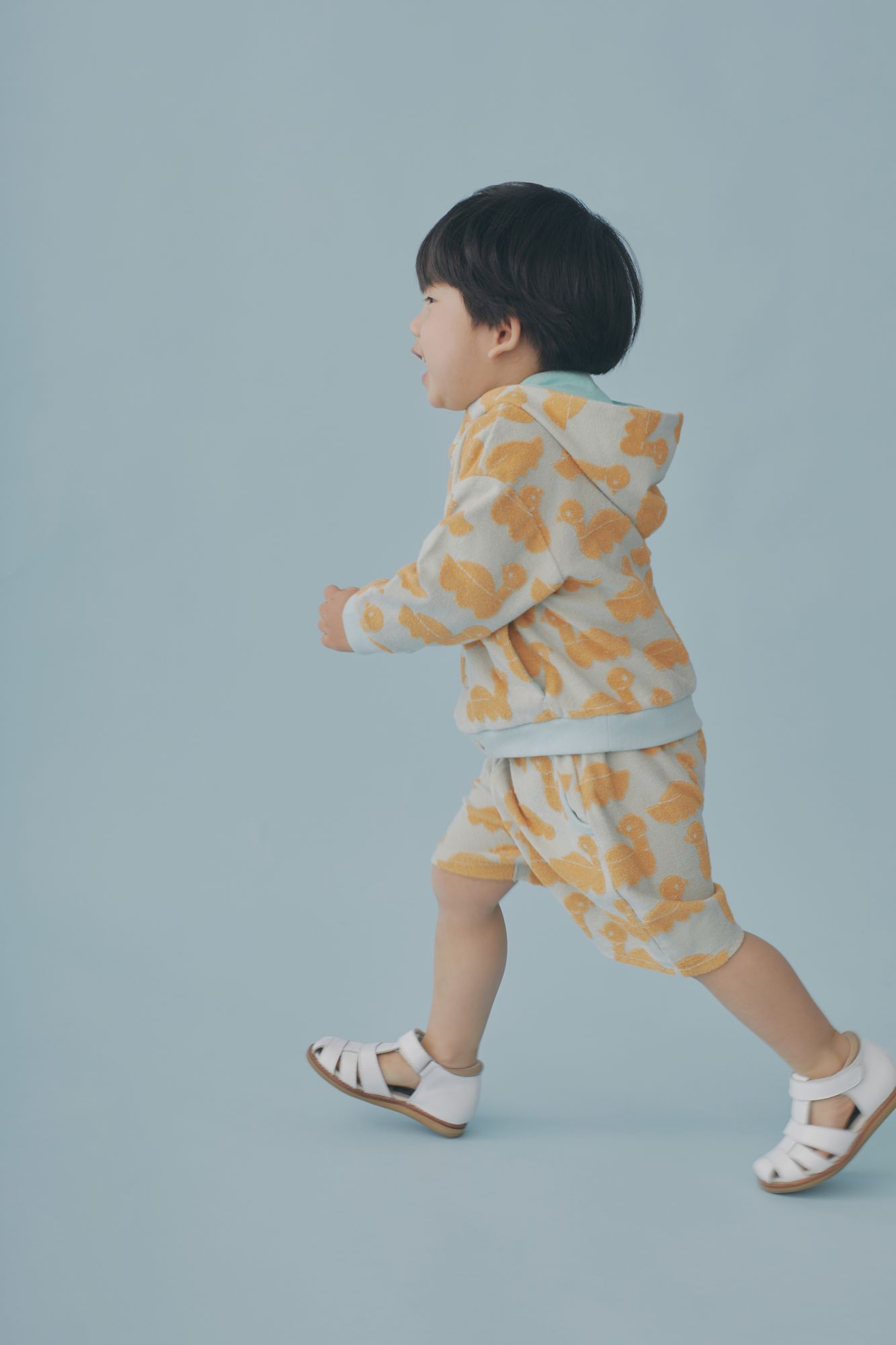 中古美品】mina perhonen sea birds カットソー36 楽天市場】ミナペルホネン 中古（トップス｜レディースファッション