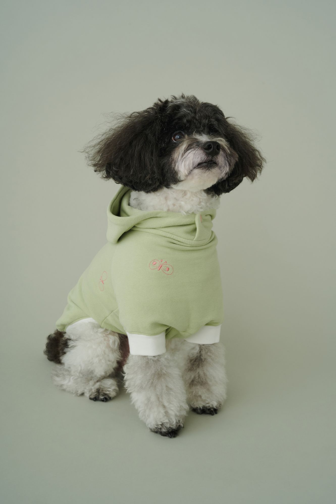 choucho dog wear - minä perhonen