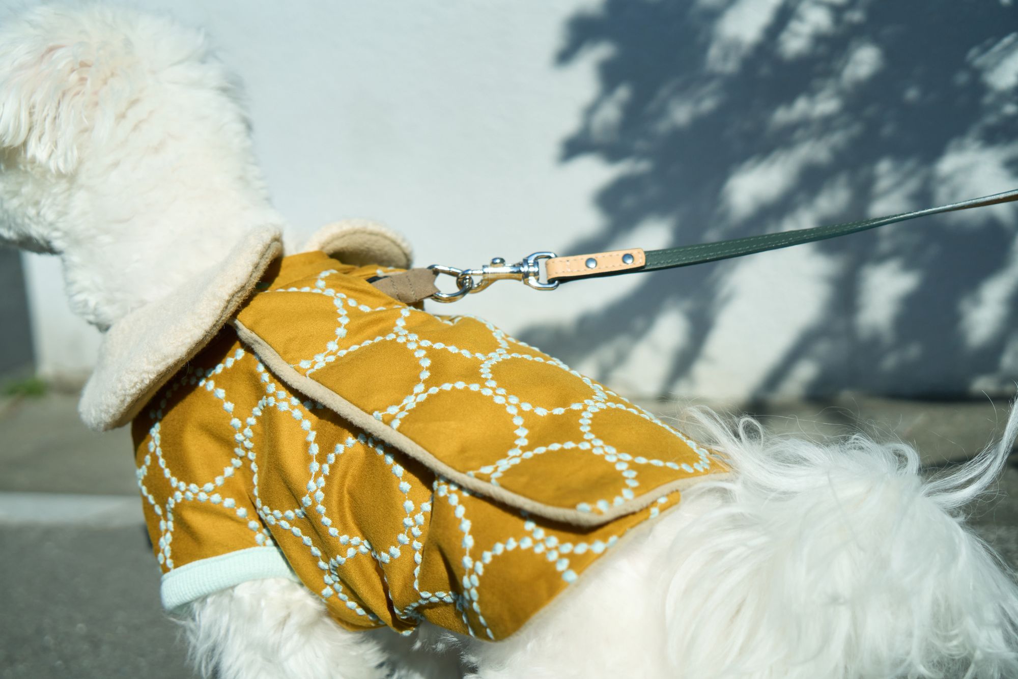 tambourine dog wear - minä perhonen