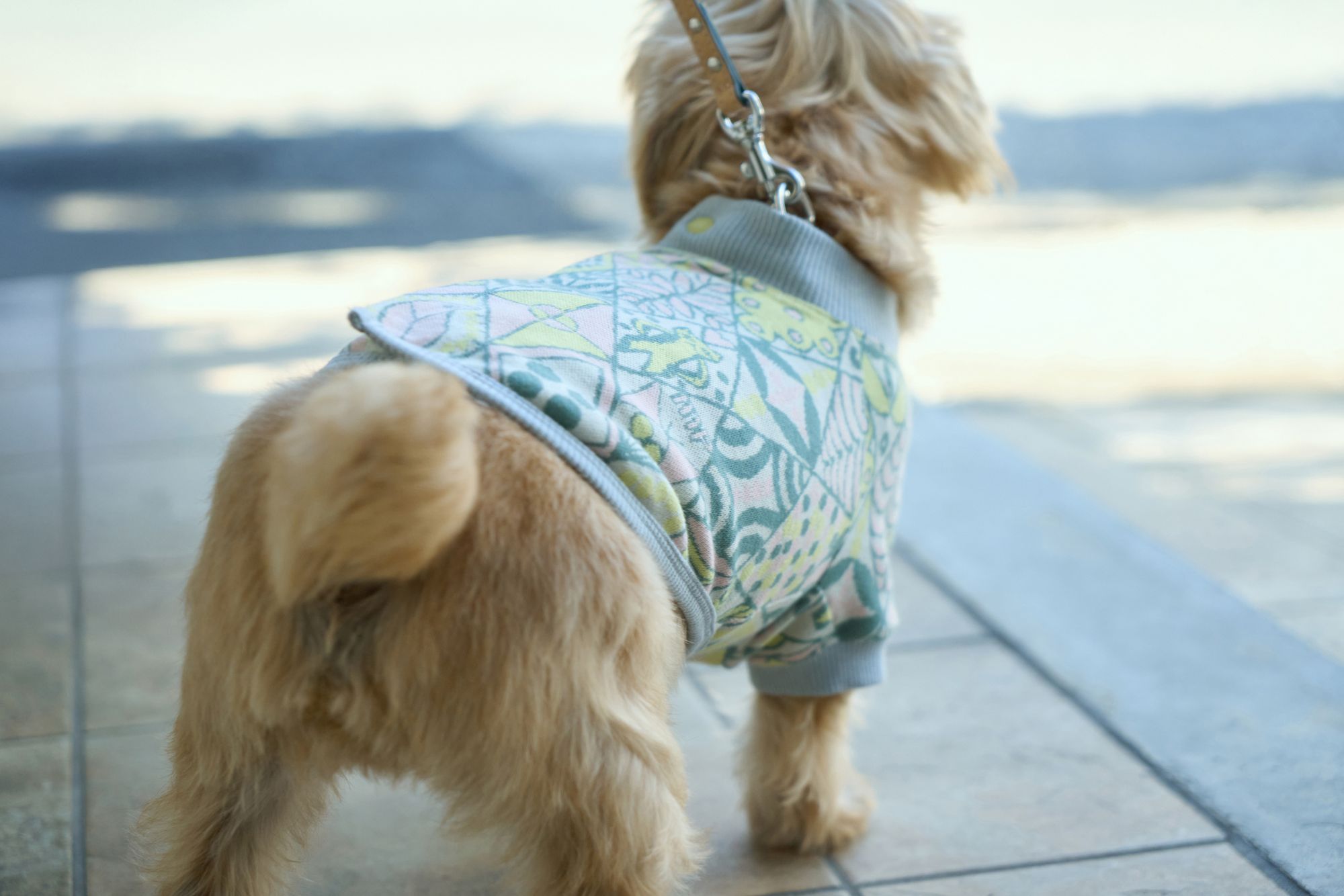 新品 ミナペルホネン ドッグウェア2点セット xsサイズ symphony dog wear - minä perhonen