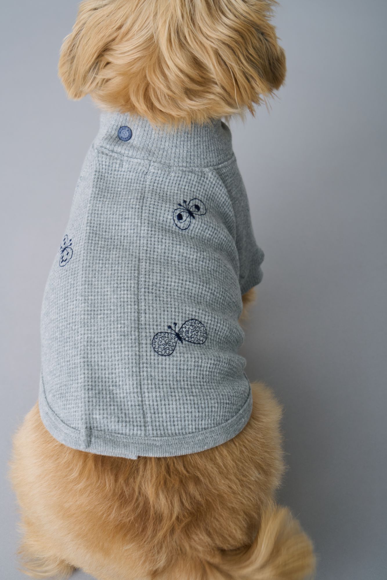 choucho dog wear - minä perhonen