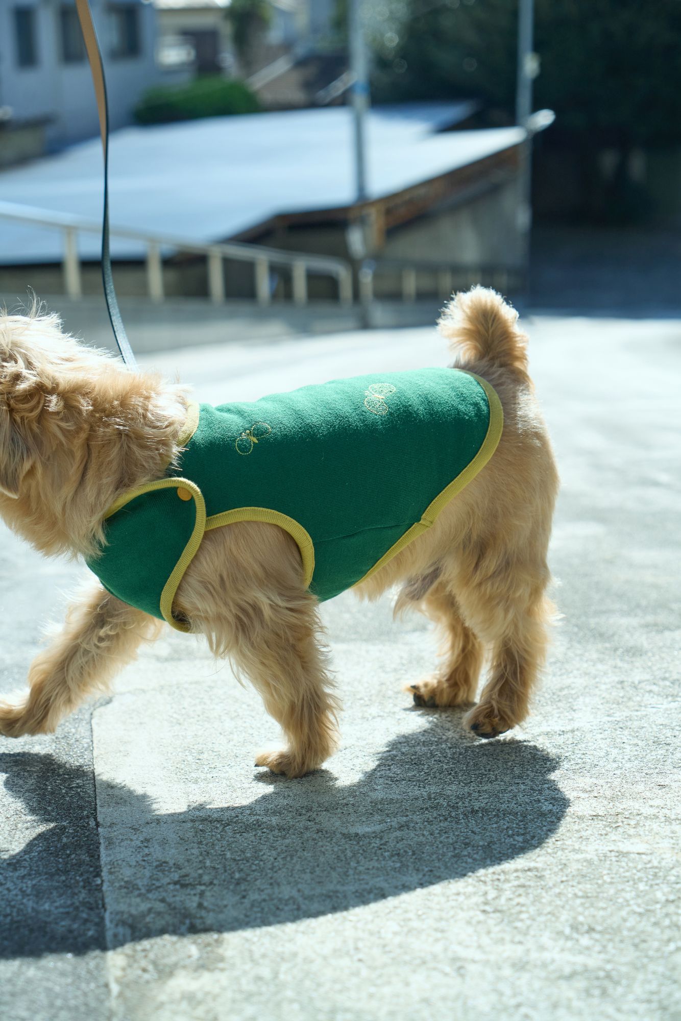 choucho dog wear - minä perhonen