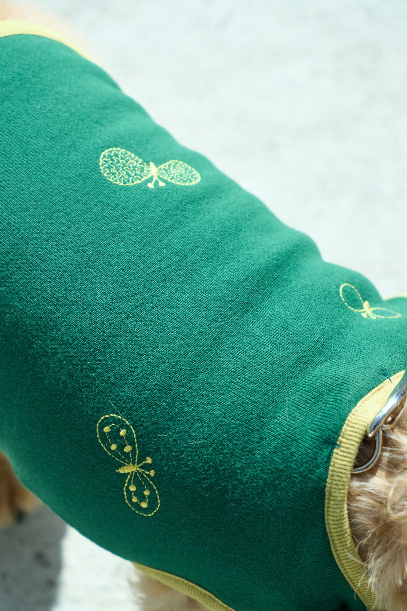 choucho dog wear - minä perhonen