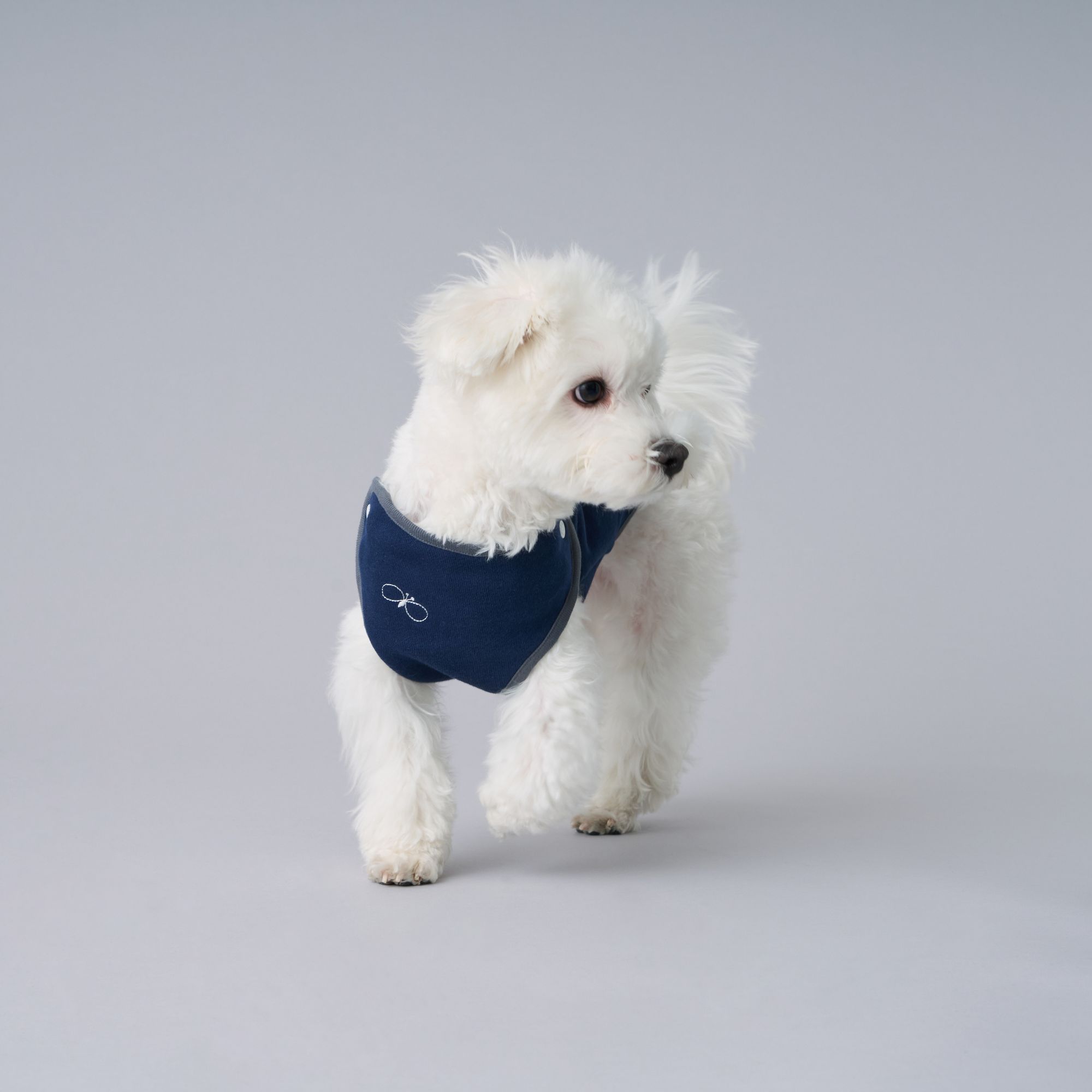 choucho dog wear - minä perhonen