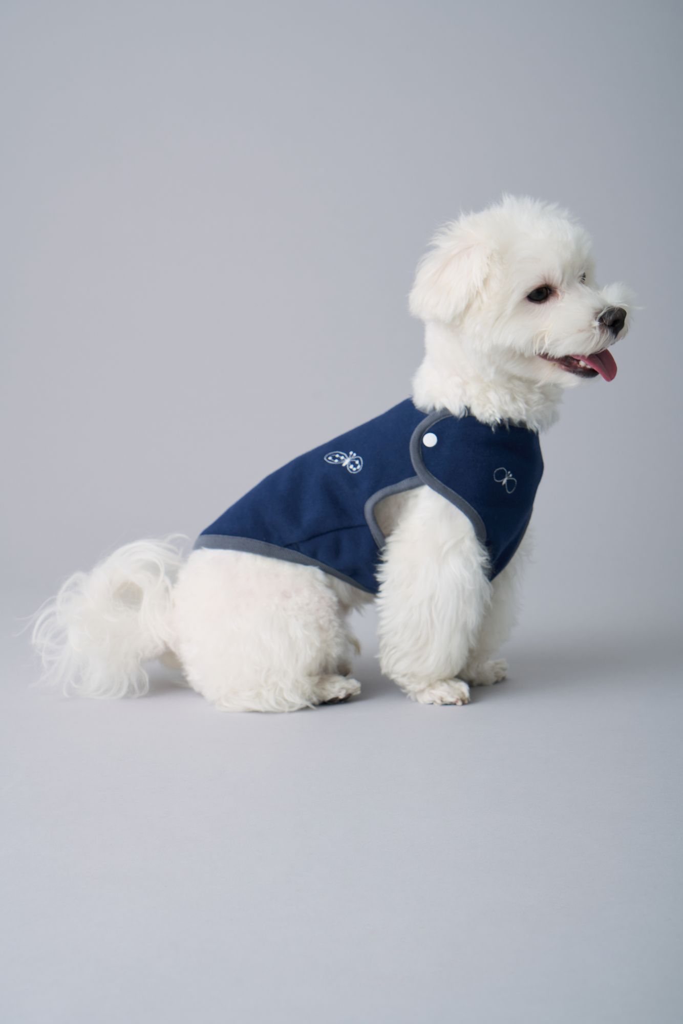 choucho dog wear - minä perhonen