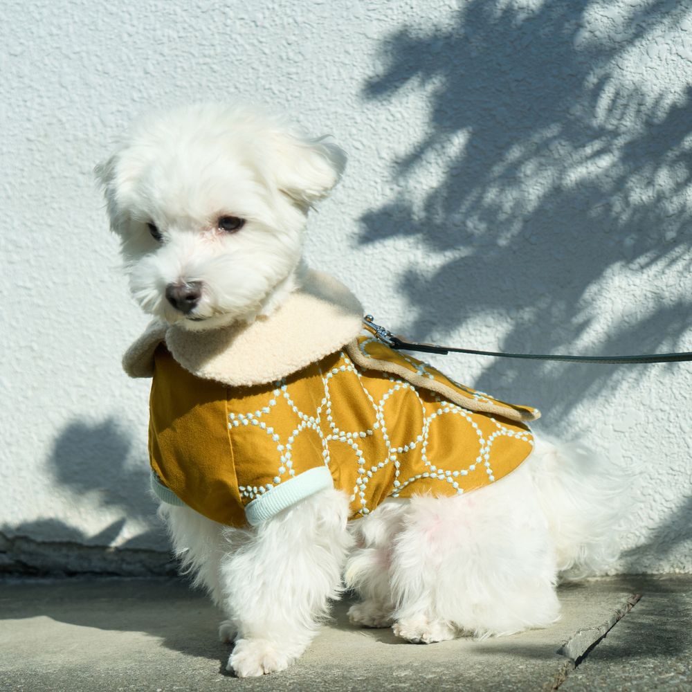 tambourine dog wear - minä perhonen