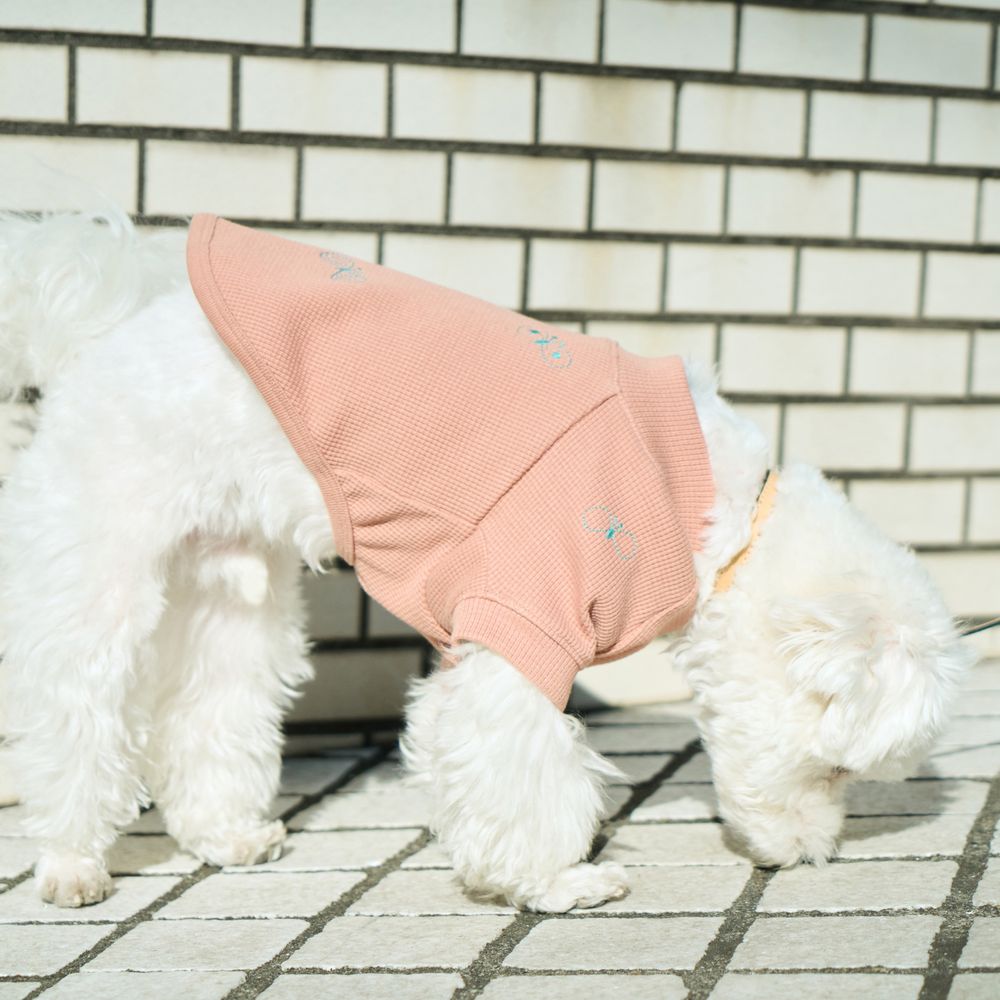 choucho dog wear - minä perhonen