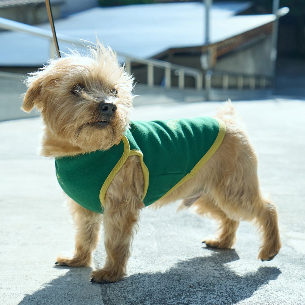 choucho dog wear - minä perhonen