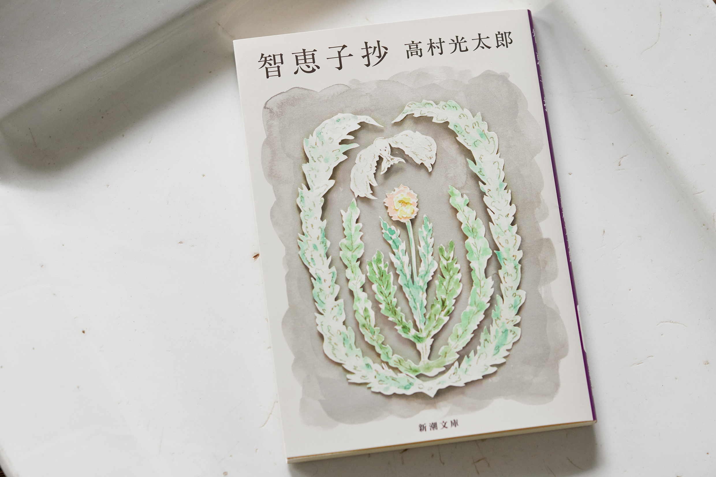 高村光太郎の詩集『智恵子抄』（新潮文庫）皆川による新装版カバーの
