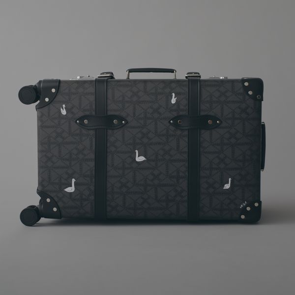 GLOBE TROTTER + paintmedium check in