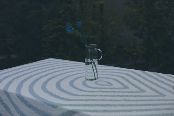 新しいアイテム、TREE HOOK 発売のお知らせ。7月3日～ - minä perhonen