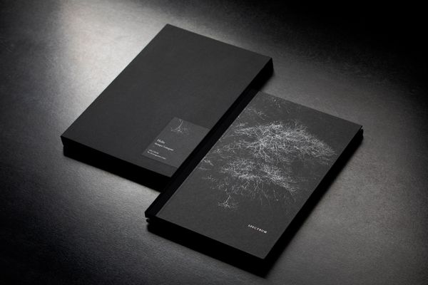 未開封　山上新平　Helix サイン入り　ミナペルホネン　皆川明 Helix Shimpei Yamagami - minä perhonen