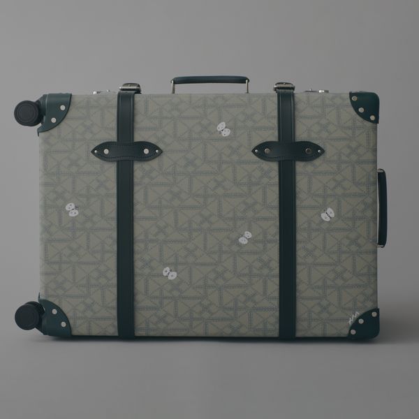 GLOBE TROTTER + paintlarge check in