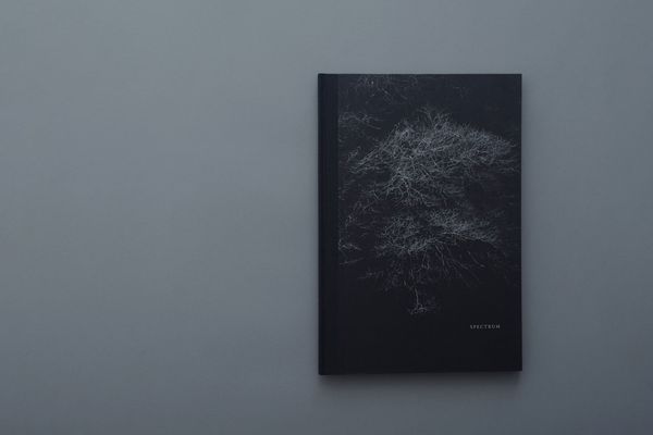 Helix Shimpei Yamagami - minä perhonen