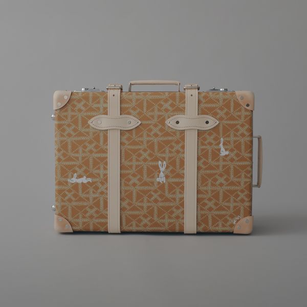 GLOBE TROTTER + paintsmall carry on