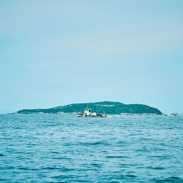 「やまくに」いりこのワークショップ